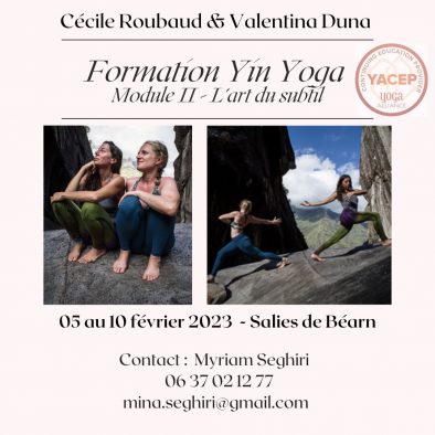 Formation Yin Yoga Module II : L'art du subtil - Formation certifiée